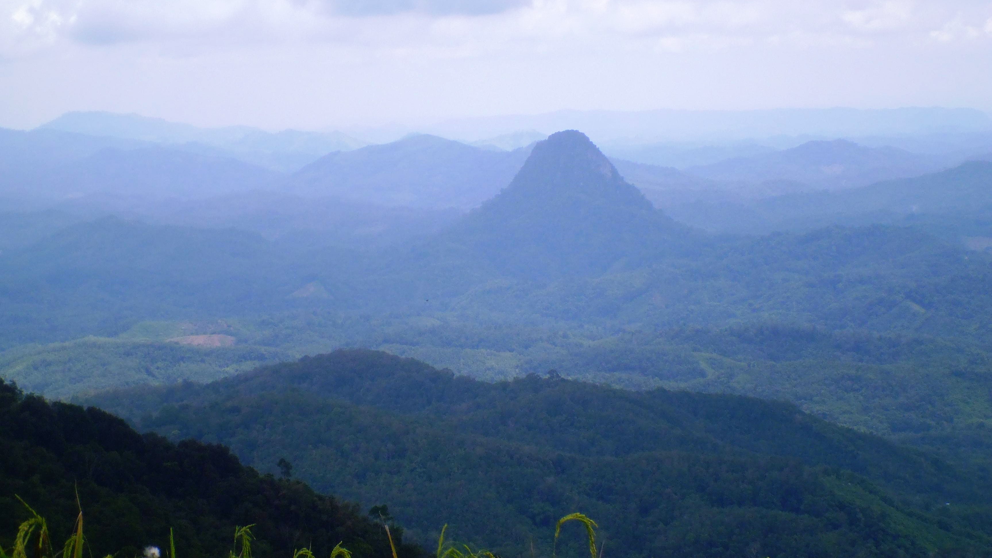 Kalimantan Tours, Barito Loksado, meratus mountains, orang utan, wildlife jungle, bamboo raft, trekking safari