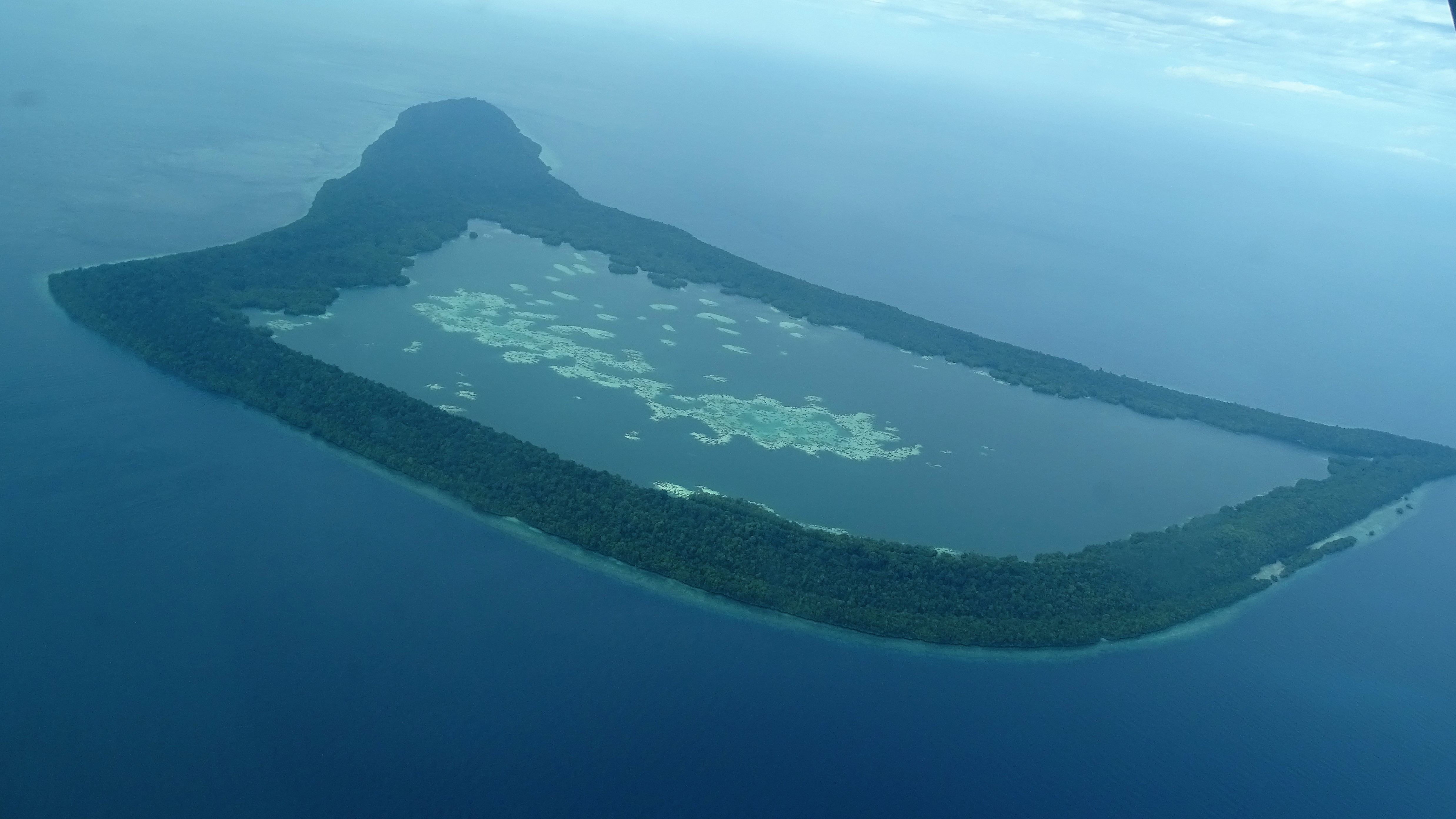 kakaban, jelly fish lake, mangrove forest, travel, guide, tour, trip, dive, diving, snorkel, manta, derawan, maratua, sangalaki, kalimantan, borneo, indonesia